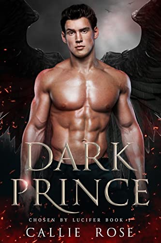 Dark Prince book cover