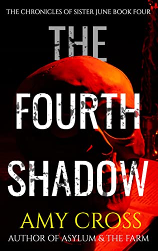 The Fourth Shadow cover