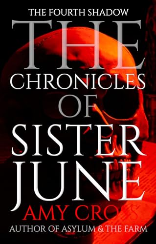 The Fourth Shadow book cover