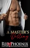 A Master's Destiny
