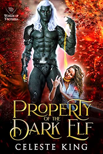 Property of the Dark Elf book cover