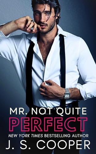 Mr. Not Quite Perfect book cover