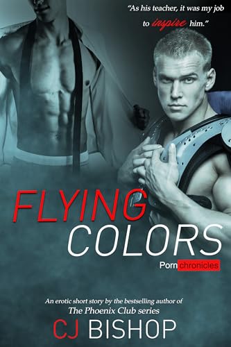 Flying Colors book cover
