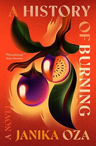 A History of Burning book cover