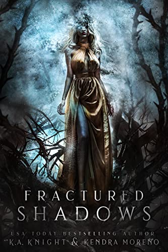 Fractured Shadows book cover