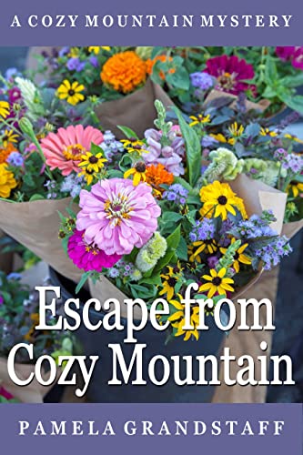 Escape from Cozy Mountain book cover