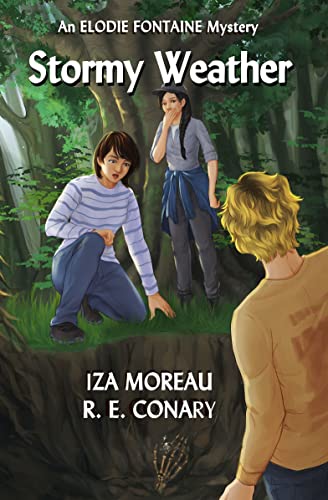 Stormy Weather book cover