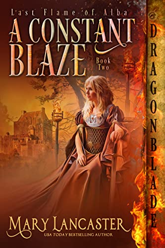 A Constant Blaze book cover