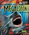 Megalodon (Ancient Marine Life)