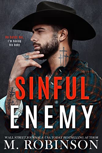 Sinful Enemy book cover