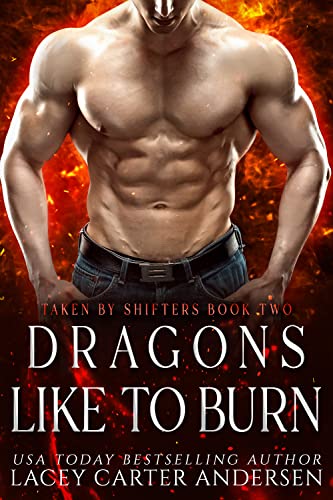 Dragons Like To Burn book cover
