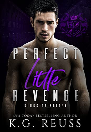 Perfect Little Revenge cover