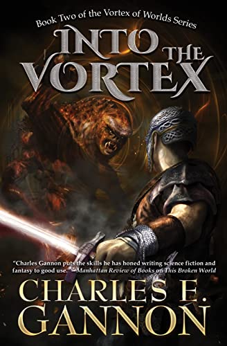 Into the Vortex book cover