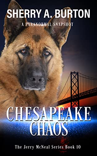 Chesapeake Chaos cover
