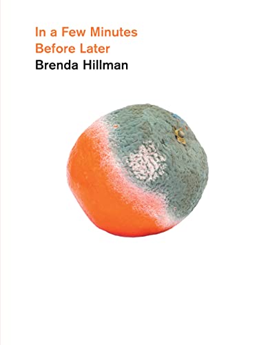 In a Few Minutes Before Later (By: Brenda Hillman) cover