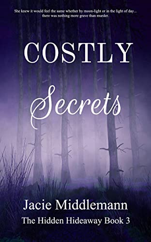 Costly Secrets: Book 3 cover