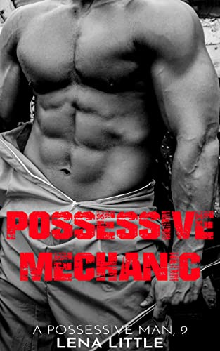 Possessive Mechanic book cover