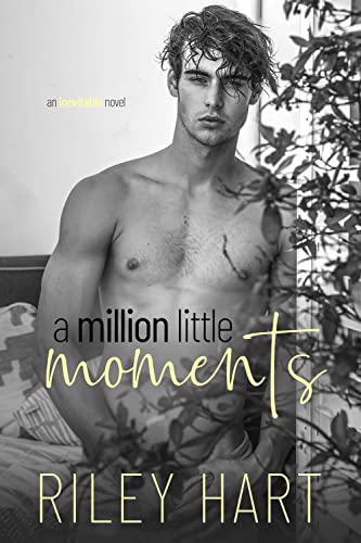 A Million Little Moments book cover