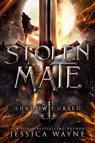 Stolen Mate book cover