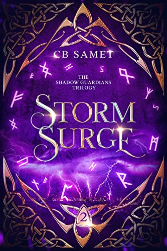 Storm Surge book cover
