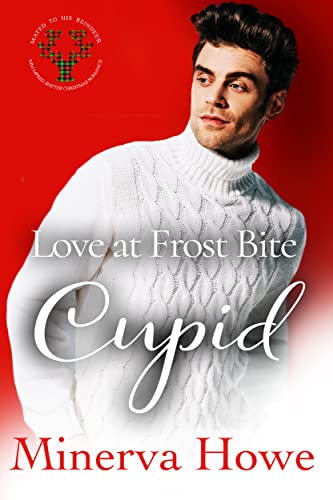 Cupid book cover