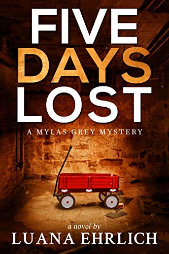 Five Days Lost book cover