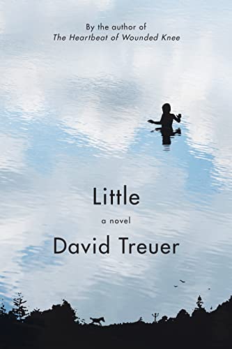 Little book cover