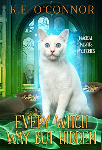 Every Witch Way but Hidden book cover