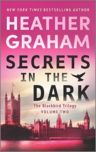 Secrets in the Dark book cover