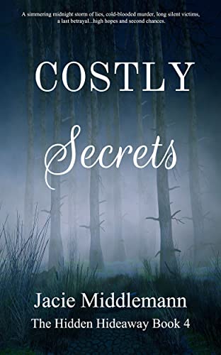 Costly Secrets: Book 4 cover