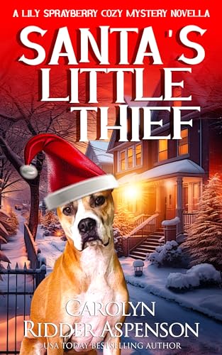 Santa's Little Thief book cover