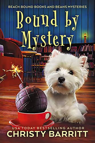 Bound by Mystery book cover