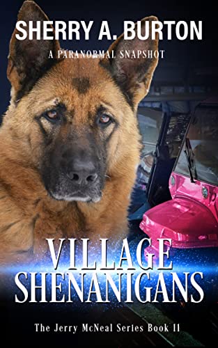 Villages Shenanigans book cover
