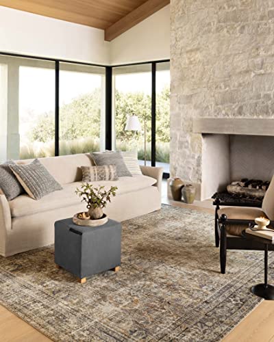 Loloi Amber Lewis Morgan Collection MOG-01 Sunset/Ink 8'-3" x 11'-3" Area Rug, Neutral Area Rug for Room Décor, Vintage Rug Inspired, Soft Area Rug for Living Room, Bedroom, Dining Area