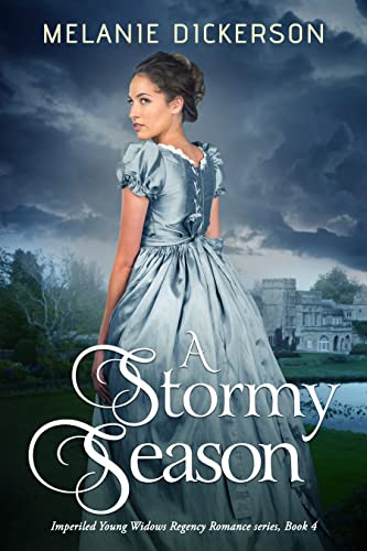A Stormy Season book cover