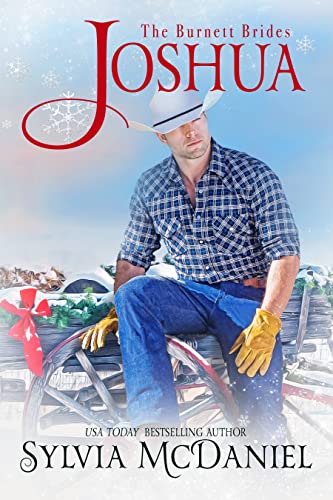Joshua book cover