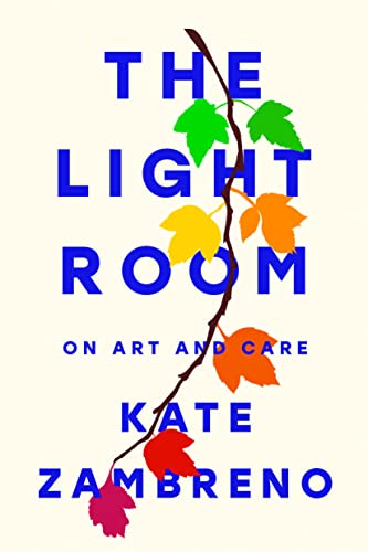 The Light Room book cover