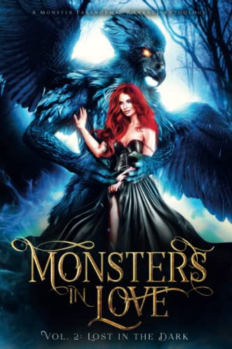 Lost in the Dark book cover