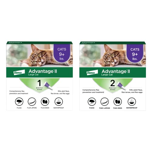 Advantage II Large Cat flea treatment over 9 lbs 3-month supply