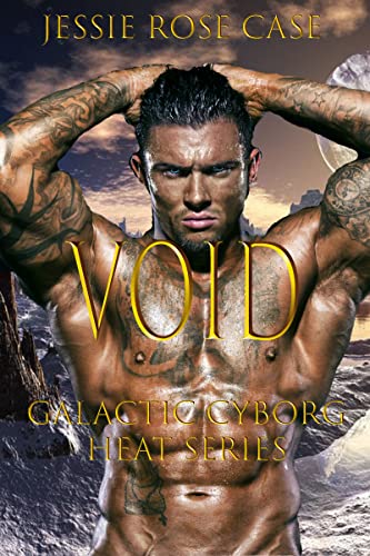 Void book cover