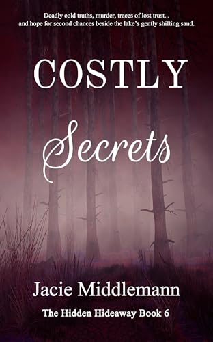 Costly Secrets: Book 6 cover