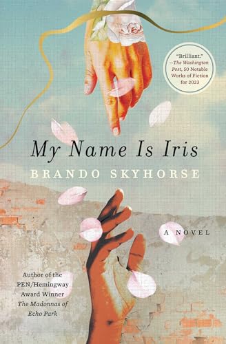 My Name Is Iris book cover