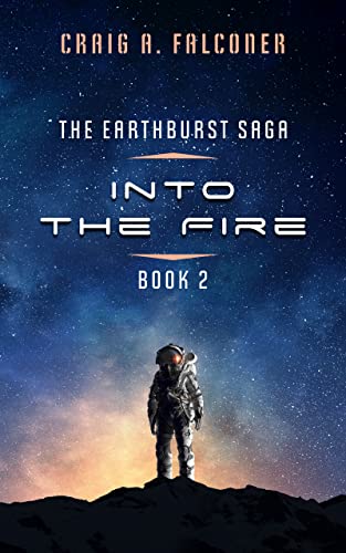 Into The Fire book cover