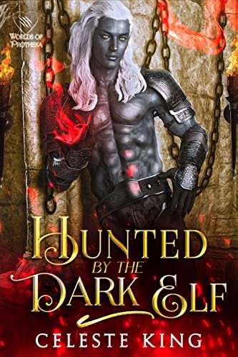 Hunted By The Dark Elf book cover