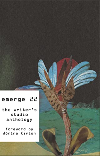 emerge 22 book cover