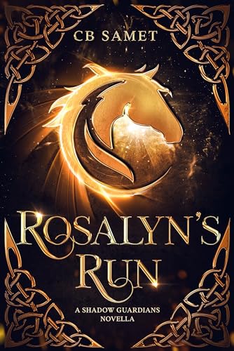 Rosalyn's Run book cover