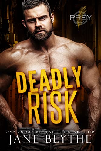 Deadly Risk cover