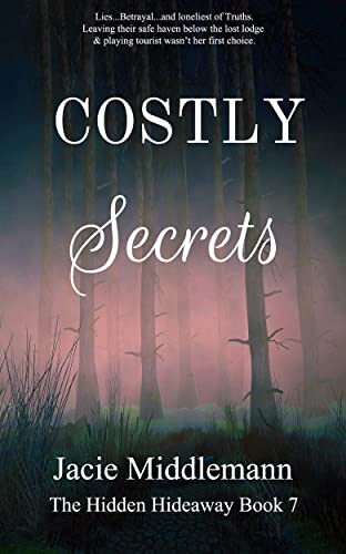 Costly Secrets: Book 7 cover