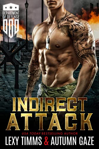 Indirect Attack book cover