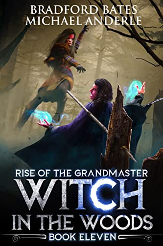 Witch in the Woods book cover